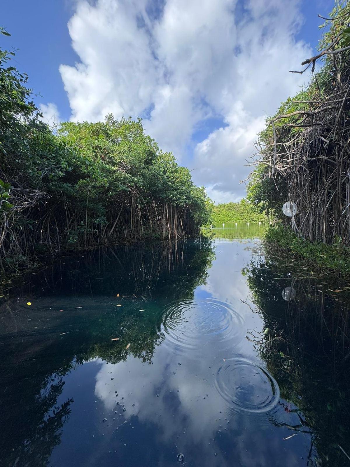 Cabanas Tulum - Aldea Mangle & Cenote Eksteriør bilde