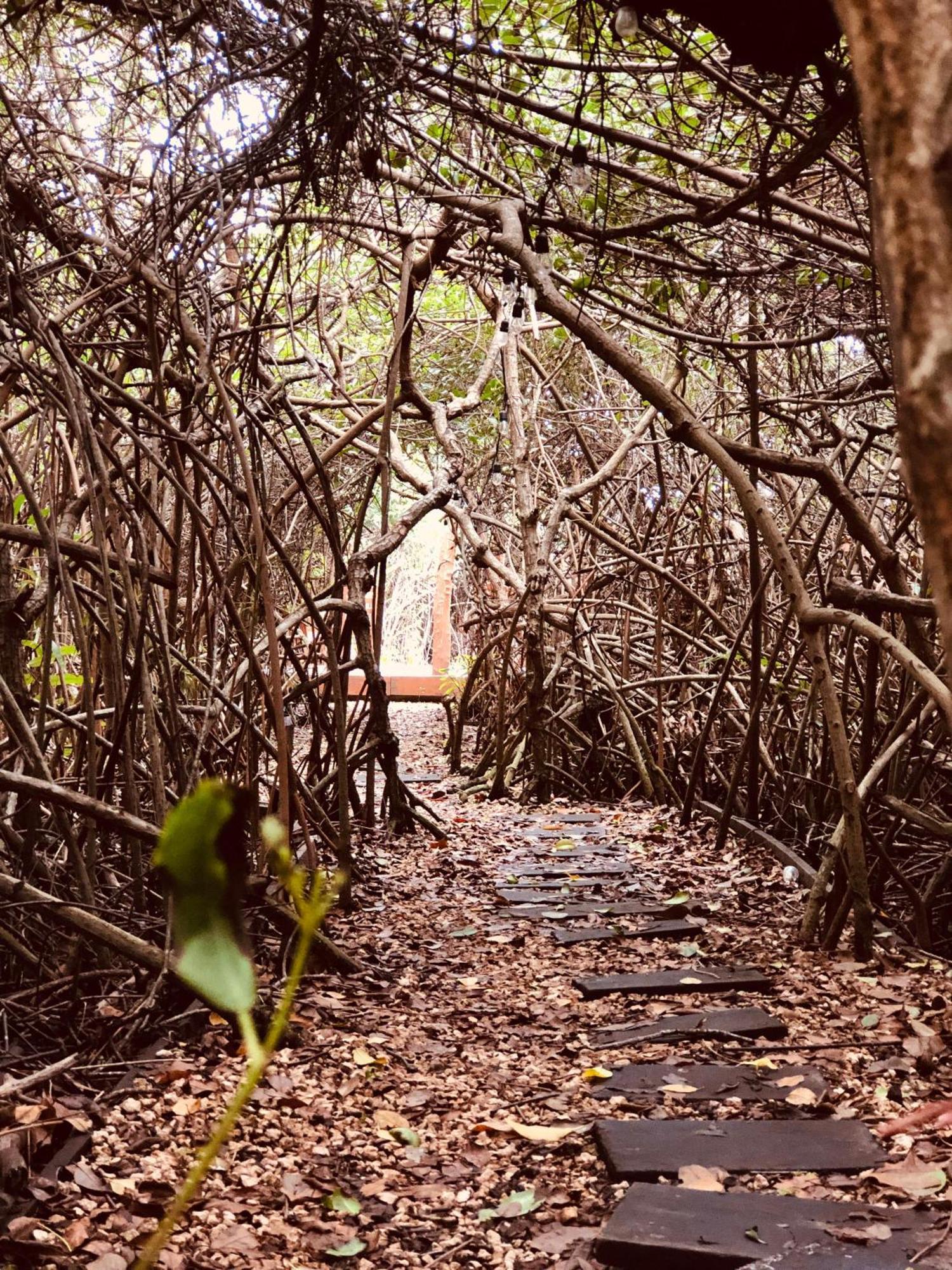 Cabanas Tulum - Aldea Mangle & Cenote Eksteriør bilde