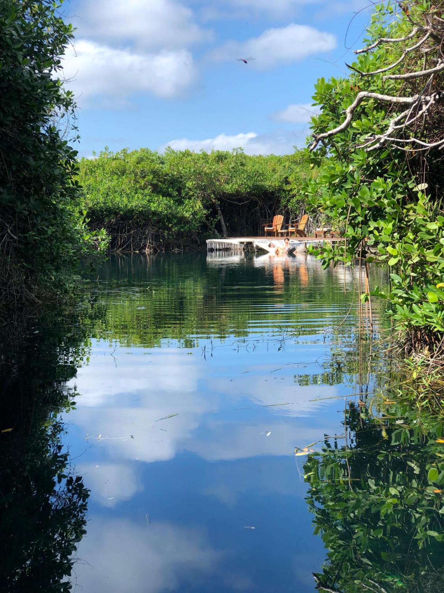 Cabanas Tulum - Aldea Mangle & Cenote Eksteriør bilde