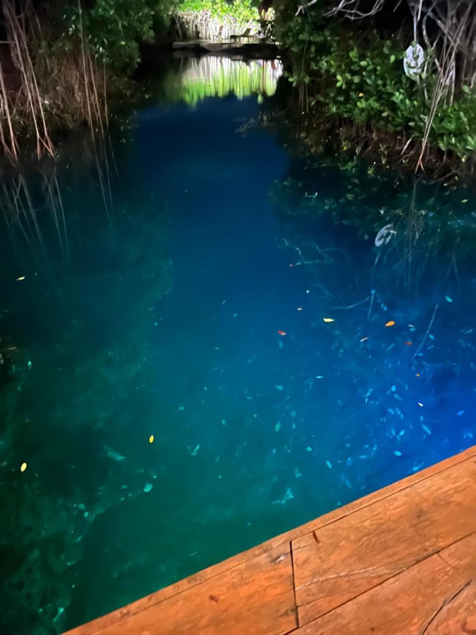 Cabanas Tulum - Aldea Mangle & Cenote Eksteriør bilde