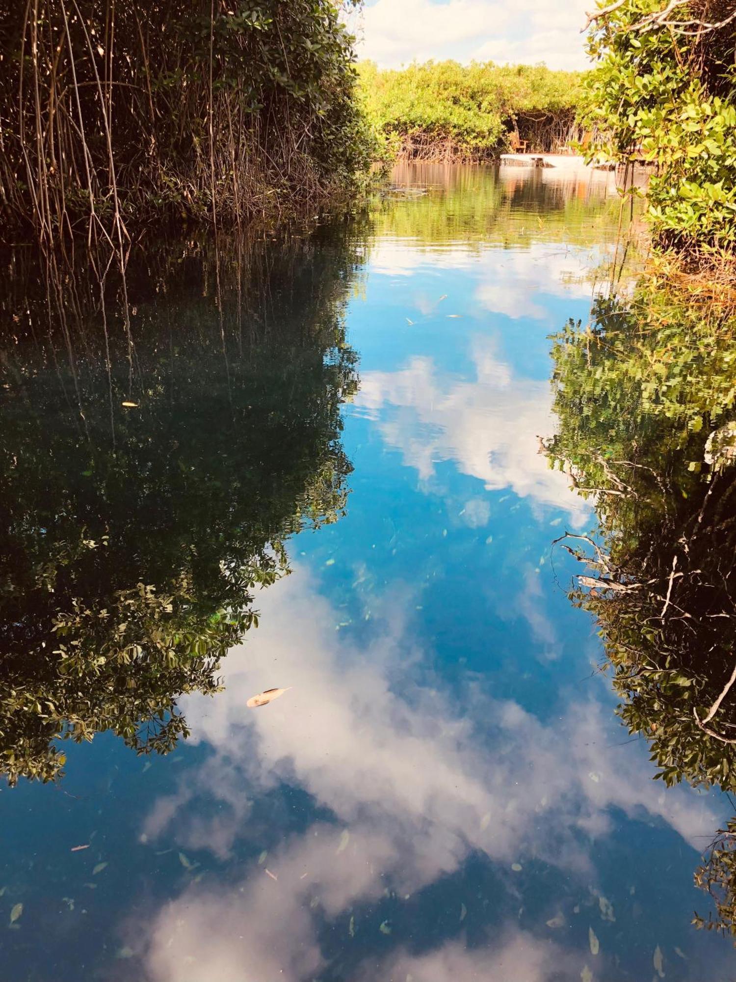 Cabanas Tulum - Aldea Mangle & Cenote Eksteriør bilde