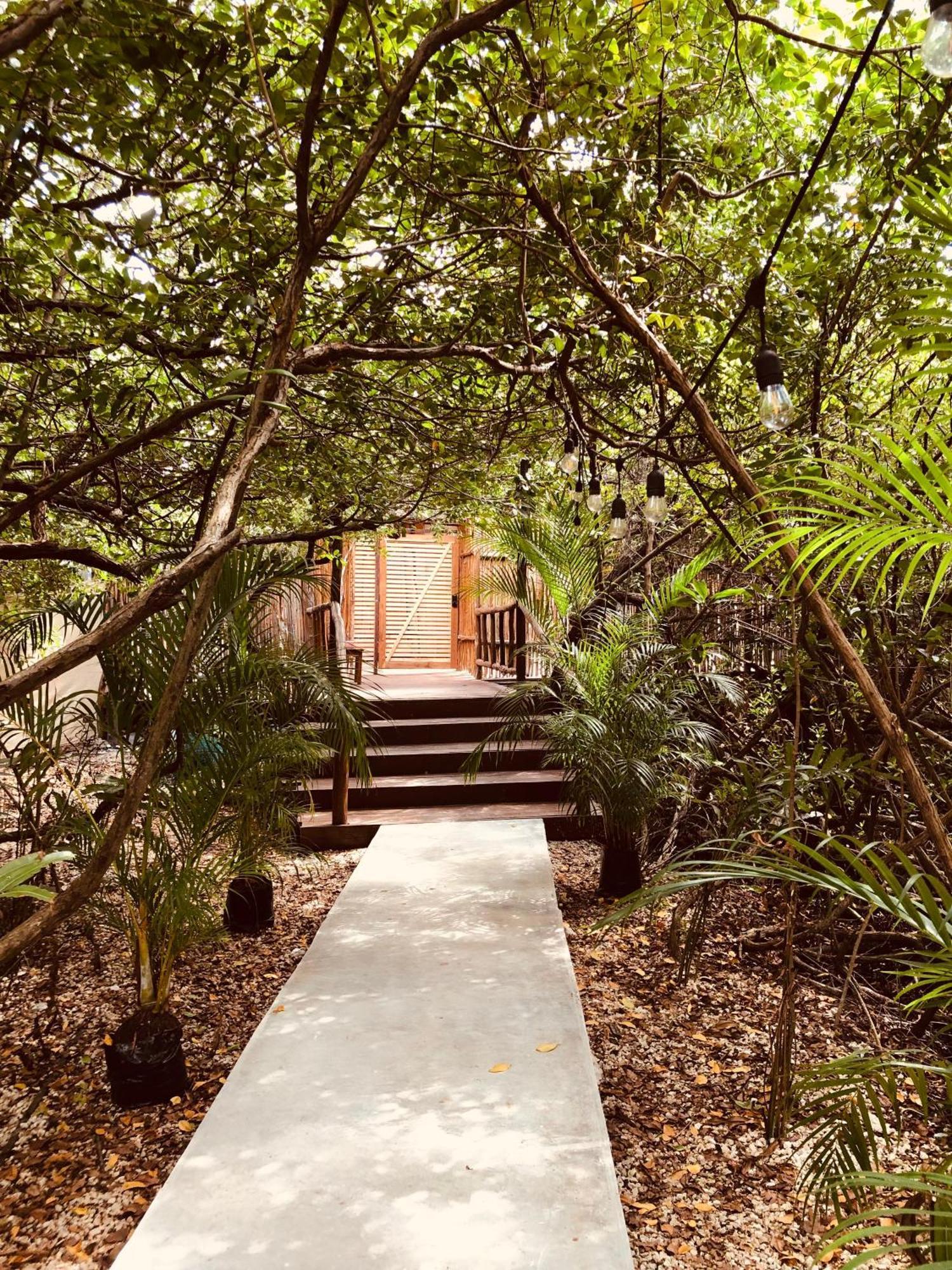 Cabanas Tulum - Aldea Mangle & Cenote Eksteriør bilde