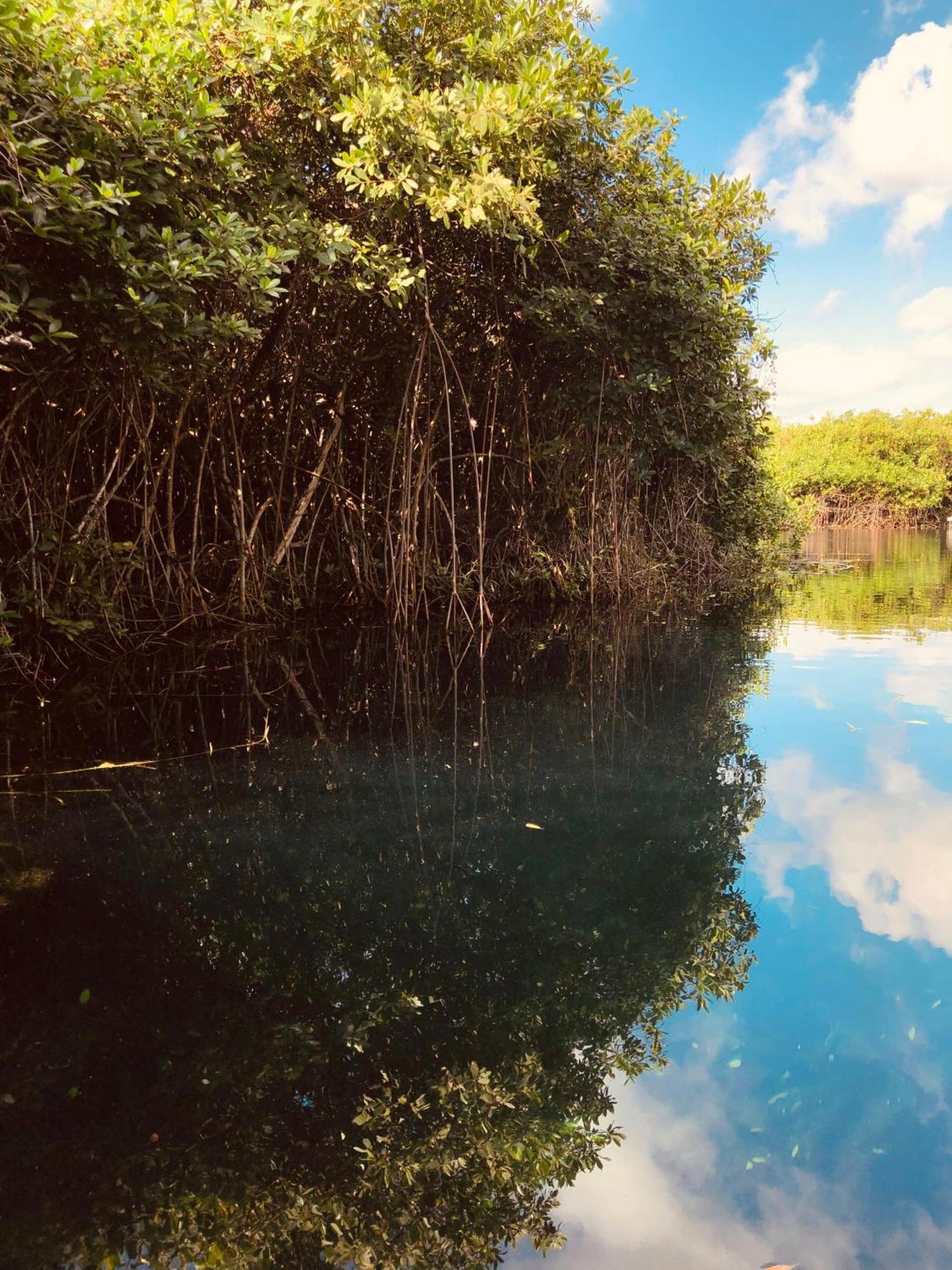 Cabanas Tulum - Aldea Mangle & Cenote Eksteriør bilde