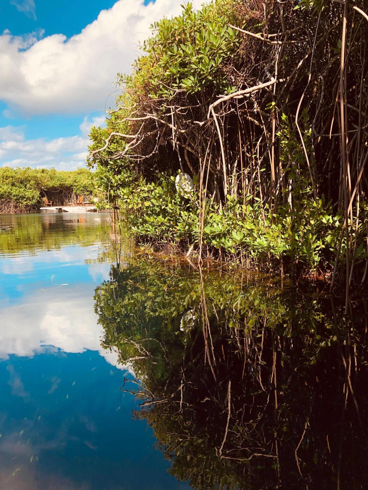 Cabanas Tulum - Aldea Mangle & Cenote Eksteriør bilde