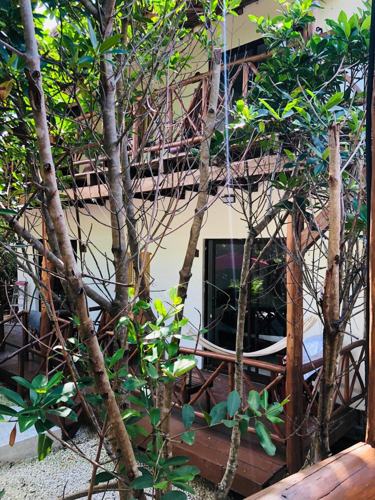 Cabanas Tulum - Aldea Mangle & Cenote Eksteriør bilde