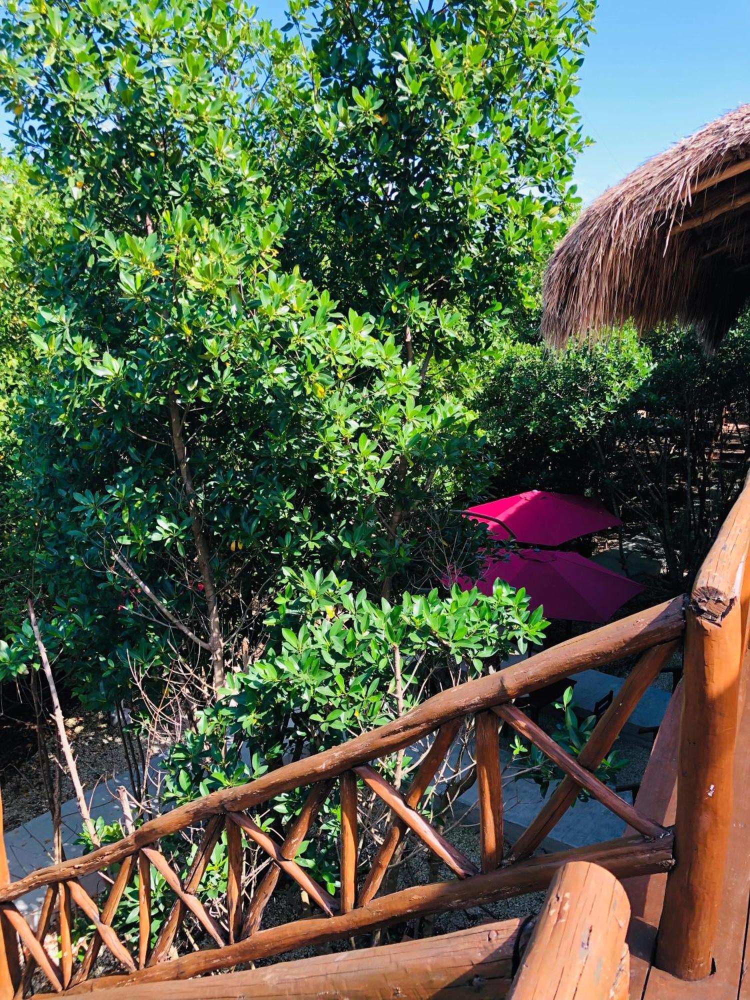 Cabanas Tulum - Aldea Mangle & Cenote Eksteriør bilde